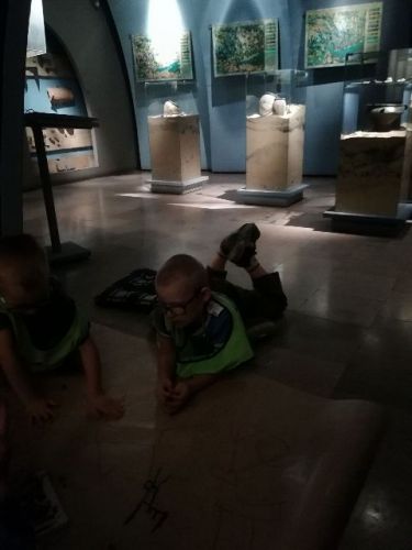 IMG_20180619_104702.jpg