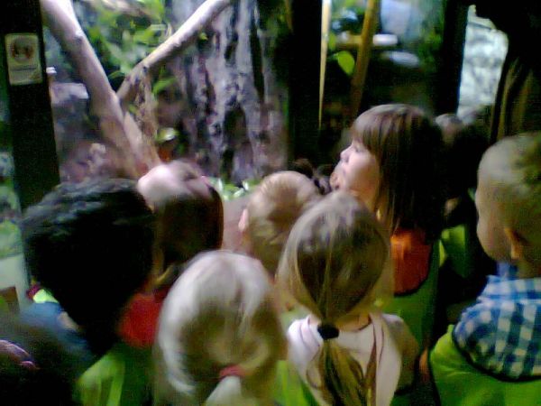 image_215238_19700118_170938.jpg