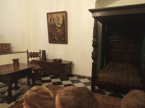 IMG_20200226_093905.jpg