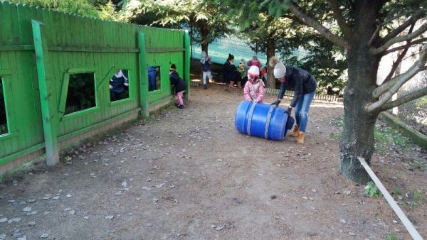 20161121_114947.jpg