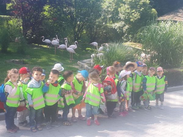 zoo009.jpg