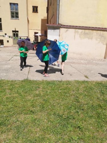 img-20190612-121001.jpg